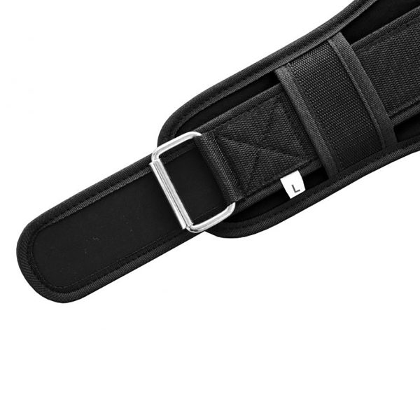 Weight Lifting Belt
