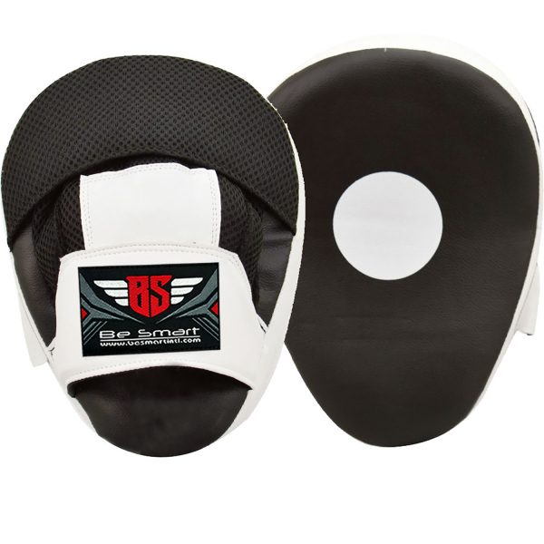 Boxing Gloves and Focus Pads Set