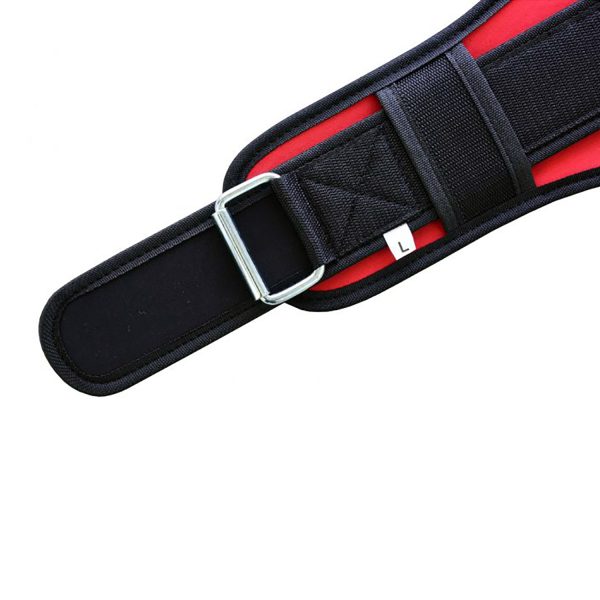 Weight Lifting Belt