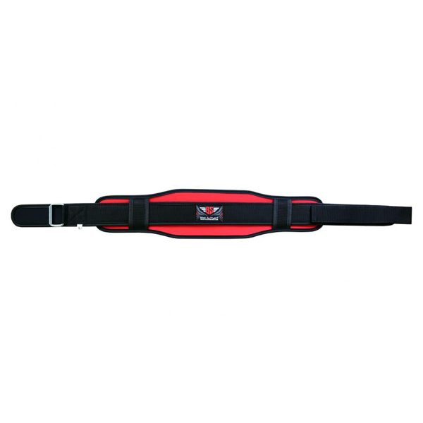 Weight Lifting Belt
