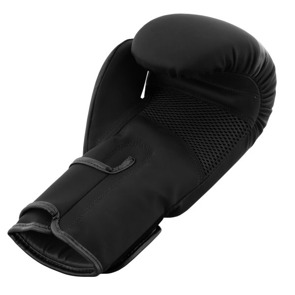 Boxing + Focus pads